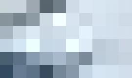 "طائر البلشون" في بحر غزة، بعدسة شادي سلفيتي