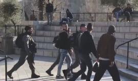 قوات الاحتلال تعتقل شاب فلسطيني من منطقة باب العامود بالقدس المحتلة قبل قليل
