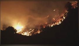 #فيديو حرائق هائلة في منطقة "بندلتون" في الولايات المتحدة الأمريكية