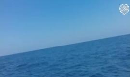 #بث_مباشر زوارق الاحتلال تقترب من سفن كسر الحصار في عرض بحر غزة