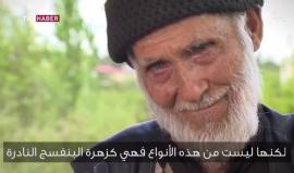 "في الدنيا خديجتان : زوجة رسول الله والثانية خديجة زوجتي"

#شاهد .. عجوز تركي يرثي زوجته ويروي حكاية حبه لها بدموع الفراق