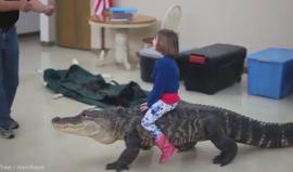 هكذا احتفلت عائلة هذه الطفلة بعيد ميلادها بشيكاغو ؟!