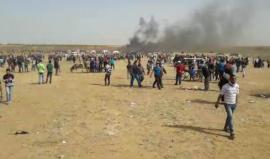 الآن .. مواجهات على السلك الزائل شرق جباليا شمال القطاع
#مسيرة_العودة_الكبرى

تصوير.. أنس جمال الشريف