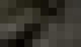 #فيديو أصوات المستوطنين عند حائط البراق تغزو المسجد الأقصى 

تصوير: محمد قاروط ادكيدك