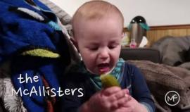 تناول الخيار المخلل لأول مرة.. كيف بدت ملامحه؟