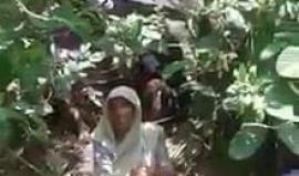 هل شاهدت ملاجئ  #مسلمي_الروهنغيا هرباً من بطش جيش ميانمار والعصابات البوذية ؟!