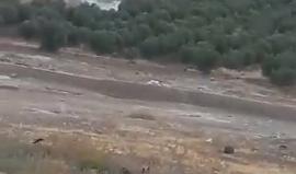 #شاهد : من مواجهات بين الشبان وقوات الاحتلال على المدخل الغربي لبلدة تقوع جنوب شرق بيت لحم مساء اليوم .