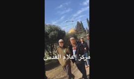 اغلاق باب المغاربة بعد اقتحام (42) مستوطن ساحات المسجد الأقصى