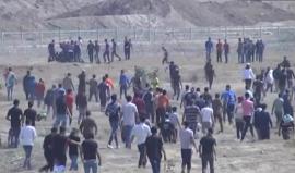 #مباشر إصابات برصاص الاحتلال واشتعال النيران من جديد في المزارع بالداخل المحتل شرق مدينة غزة بفعل الطائرات الورقية الحارقة