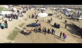 ستون عاماً وما بكم خجل
(تميم البرغوثي)

#مسيرة_العودة_الكبرى