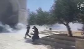 #شاهد لحظة اعتداء قوات الاحتلال على المصلين في #المسجد_الأقصى بقنابل الغاز ومحاولة تفريقهم قبل قليل

#اغضب_للاقصى