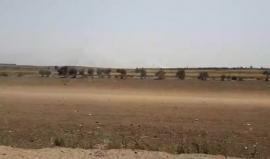 توغل وحرائق في الاحراش شرق مدينة غزة