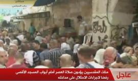 المرابطون عند باب المجلس يهتفون نصرة للأقصى 

#إلا_الأقصى
#اغضب_للأقصى