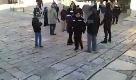 #شاهد اقتحام المستوطنين لساحات الأقصى المبارك