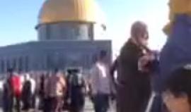 #شاهد #مباشر أجواء عيد الأضحى المبارك من المسجد الأقصى المبارك