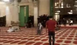 #بث_مباشر من المسجد الأقصى المبارك الآن 

تصوير مالك حرباوي