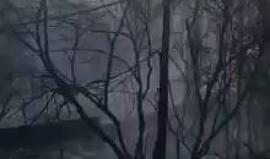 #شاهد 
من آثار الحرائق التي اندلعت في جبال حيفا المحتلة.