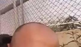 بكل شجاعة.. شبان يقصون السلك الزائل بين غزة والأراضي المحتلة في مسيرة العودة أمس