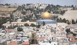 #شاهد .. العاصمة الفلسطينية القدس المحتلة والأقصى المبارك من أعلى برج كنيسة الفادي اللوثرية الذي يبلغ ارتفاعه 48 مترا، ويعتبر أعلى بناء في القدس المسورة القديمة وهو قريب من كنيسة القيامة . 

تصوير Islam Fawaqa