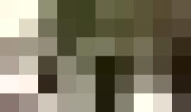 #فيديو حارس أمن اسرائيلي يهاجم مستوطن حريدي في "بيت شيمش"