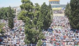 #شاهد .. أكثر من 280 ألفا يؤدون صلاة الجمعة الأخيرة من شهر #رمضان في المسجد الأقصى المبارك على الرغم من حواجز قوات الاحتلال .