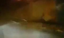 #شاهد 
اندلاع حريق نتيجة إلقاء الزجاجات الحارقة صوب مركبات المستوطنين على طريق النفق قرب بيت لحم.