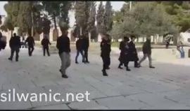 مستوطنون يقتحمون باحات المسجد الأقصى المبارك