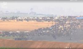 #مباشر .. تصوير من الداخل المحتل عام 48 يظهر الفلسطينيين المتوافدين إلى السياج الفاصل شرق قطاع غزة ضمن #مسيرة_العودة_الكبرى