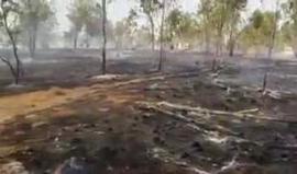 #شاهد هذا ما فعلته الطائرات الورقية الحارقة بمستوطنة "كيسوفيم" المحاذية لقطاع غزة