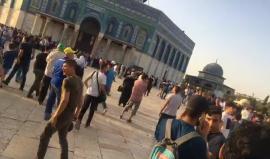 #مباشر #عاجل : مواجهات باقتحام قوات الاحتلال للمسجد الاقصى مجدداً والاعتداء على المصليين
