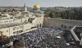 #شاهد آلاف المستوطنين اليهود يؤدون طقوس تلمودية على حائط البراق، في المسجد الأقصى المبارك مع استمرار احتفالهم بما يسمى " عيد العرش" اليهودي .
