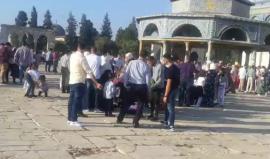 #مباشر أجواء عيد الأضحى المبارك من المسجد الأقصى