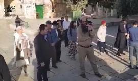 #فيديو 138 مستوطنا يقتحمون المسجد الأقصى المبارك منذ الصباح وحتى اللحظة بحماية قوات الاحتلال