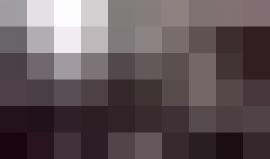 #شاهد عندما اجتمع جمهوري المغرب وتونس في موسكو هكذا كان الهتاف .