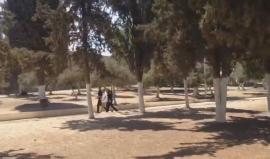 لحظة اعتقال حارسا المسجد الأقصى حمزة نبالي وحمزة الديسي من داخل المسجد الأقصى.