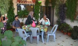 منزل -نخلة- الفلسطيني .. -جنة- وسط عشوائيات المخيم - الأناضول