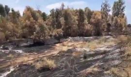 #شاهد منطقة "خزان شيكماه" قرب حدود القطاع بعد أن سقط فيها بالون حارق أطلق من غزة