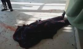 مشاهد مروعة من مجزرة ارتكبها النظام السوري في دير قانونة بحق نازحي وادي بردى بريف دمشق