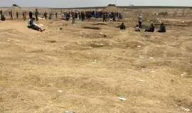 #فيديو الاحتلال يعتدي على المشاركين في مسيرة العودة شرق غزة 

تصوير: عطية درويش