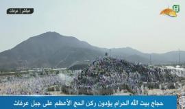 #مباشر الحجاج يصعدون جبل عرفات لأداء الركن الأعظم فى الحج