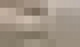 #شاهد
أكثر من ٣٠ مستوطناً يهاجمون منازل المواطنين في بلدة بورين قضاء نابلس بحماية قوات الاحتلال