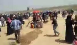 الان من مخيم العودة شرق جباليا #حرق_العلم
#بث||محمد حازم المصري