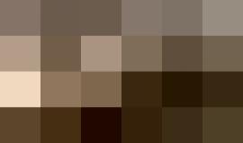 #شاهد شبان يحاصرون حافلة للاحتلال على مدخل قلنديا شمال القدس المحتلة