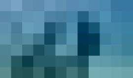 غواص يجازف بحياته لإطعام قرش النمر الذي يعتبر واحداً من أكثر أسماك القرش خطورةً في العالم
الفيديو: Tom Park