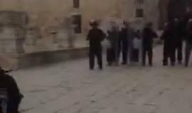 #شاهد | اقتحام قوات خاصة صهيونية لباب المغاربة بالمسجد الأقصى المبارك . 

تصوير ‏‎Hanady Baha Halawani
