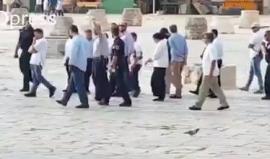 مستوطنون يقتحمون المسجد الأقصى صباح اليوم