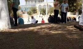 #مباشر| خطبة وصلاة الجمعة من المسجد الأقصى المبارك بالعاصمة الفلسطينية المحتلة.