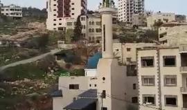 #فيديو جنين تزف الشهيد "أحمد سمير أبو عبيد" الذي استشهد أمس برصاص الاحتلال
