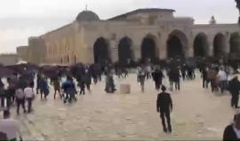 #مباشر : خطبة الجمعة في المسجد الاقصى المبارك