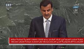 أمير #قطر: أقف هنا وبلدي وشعبي يتعرضان لحصار جـائر مـستمـر  فرضته دول مجاورة